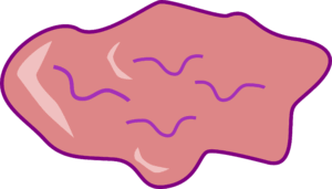 gum-clipart-a-pink-starfish-with-purple-outline