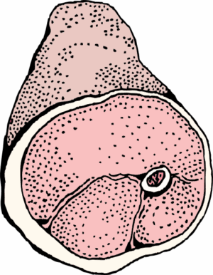 ham-clipart-a-piece-of-meat-with-on-top