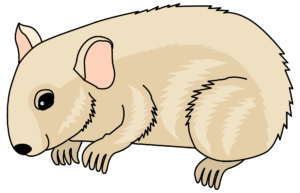 hamster-clipart-a-cartoon-rat-with-pink-nose