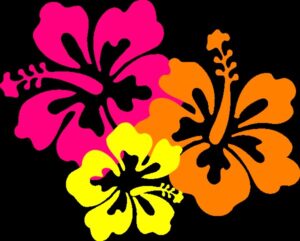 hawaiian-clipart-hi