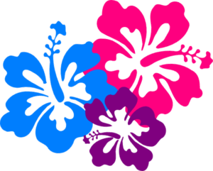 hawaiian-flower-clipart-3-a-flower-with-four-colors