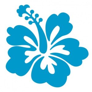 hawaiian-flower-clipart-a-blue-hina-flower-on-white-background