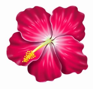 hawaiian-flower-clipart-a-red-flower-with-yellow-stamens