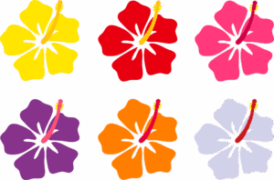hawaiian-flower-clipart-four-different-colored-flowers-with-a-black-background
