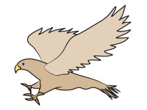 hawk-clipart-a-bird-flying-with-its-wings-spread-out