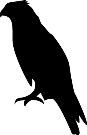 hawk-clipart-a-black-crow-silhouetted-on-white-background