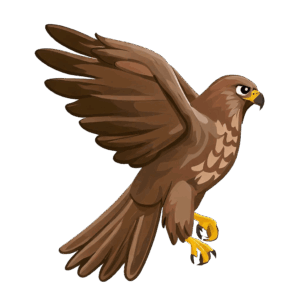 hawk-clipart-a-brown-bird-with-its-wings-spread