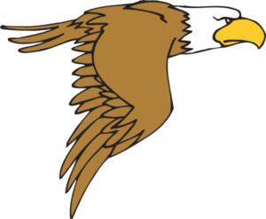 hawk-clipart-an-eagle-flying-in-the-air