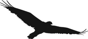 hawk-clipart-eagle-silhouette-clipart-free-cliparts-rh