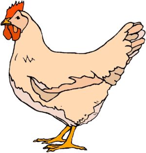hen-clipart-a-chicken-clipart
