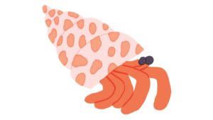 hermit-crab-clipart-a-cartoon-character-with-hat-on-his-head