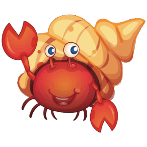 hermit-crab-clipart-a-crab-with-hat-on-it-s-head