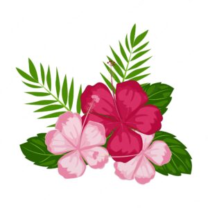 hibiscus-clipart-a-pink-flower-with-green-leaves-on-white-background