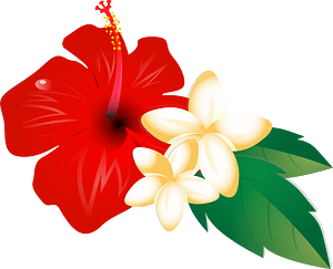 hibiscus-clipart-a-red-and-white-flower-with-green-leaves