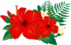 hibiscus-clipart-a-red-flower-with-white-and-green-leaves