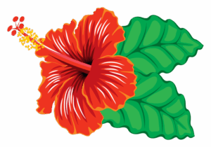 hibiscus-clipart-a-red-hi