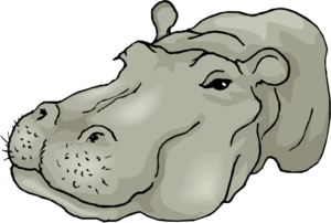 hippo-clipart-a-drawing-of-dog-s-head