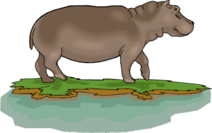 Hippo Clipart A Rhino Standing On Small Island