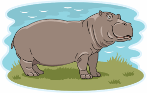 hippo-clipart-hippoy-hippo