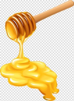 honey-clipart-honey