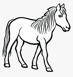 horse-clipart-black-and-white-a-horse-outline-drawing