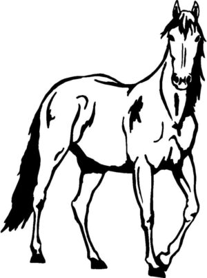 horse-clipart-black-and-white-a-horse-silhouetted-in-black-and-white