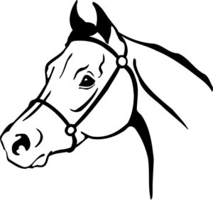 horse-head-clipart-a-horse-head-with-bre