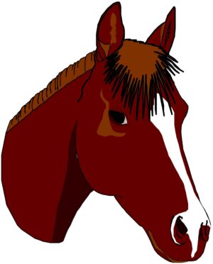 horse-head-clipart-a-horse-head-with-brown-mane