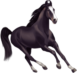 horses-clipart-a-black-horse-with-white-legs-and-mane