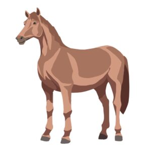 horses-clipart-a-brown-horse-standing-on-white-background