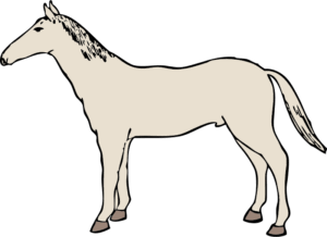horses-clipart-a-horse-standing-on-black-background