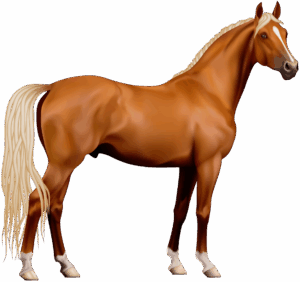 horses-clipart-a-horse-with-blonde-hair-standing-on-black-background