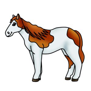 horses-clipart-a-horse-with-brown-and-white-markings