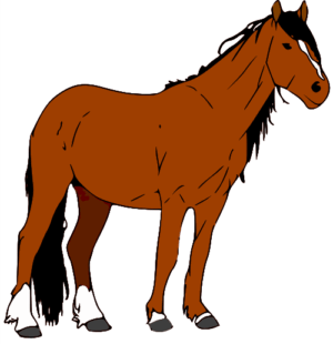 horses-clipart-a-horse-with-long-mane-and-black