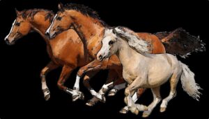 horses-clipart-three-horses-running-in-the-same-direction