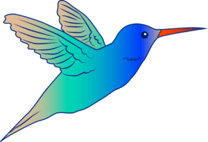 hummingbird-clipart-a-bird-with-long-beak-flying-in-the-air