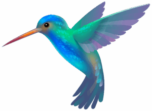 hummingbird-clipart-a-colorful-humming-bird-flying-in-the-air