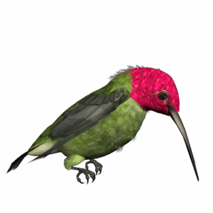 hummingbird-clipart-a-green-bird-with-pink-head-and-black-beak