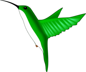 hummingbird-clipart-a-green-humming-flying-in-the-air