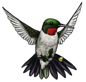 hummingbird-clipart-a-humming