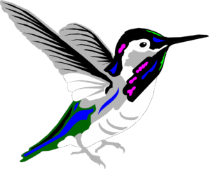 hummingbird-clipart-a-humming-bird-with-colorful-tail