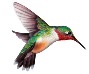 hummingbird-clipart-a-humming-hummingbird-flying-in-the-air