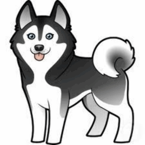 husky-clipart-a-cartoon-dog-with-black-and-white-face