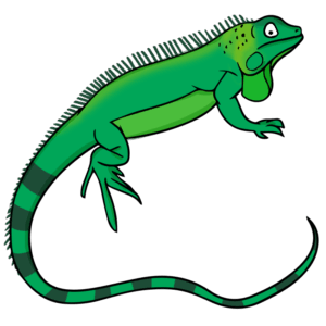 iguana-clipart-a-green-lizard-with-black-background