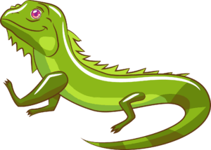 iguana-clipart-a-green-lizard-with-red-eye