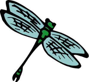 insect-clipart-a-green-and-black-insect-with-white-outline