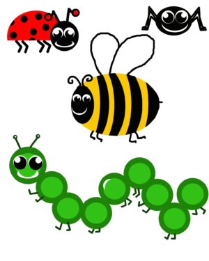 insect-clipart-a-group-of-insects-and-ladybird