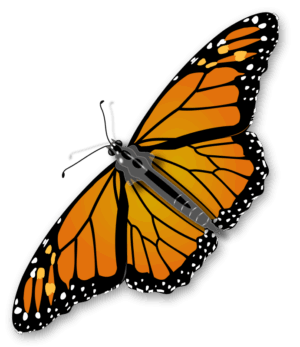insect-clipart-a-monarch-butterfly-flying-in-the-air