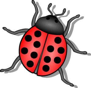insect-clipart-ladybug-clipart-ladybu