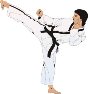 karate-clipart-a-man-in-karate-clothes-kicking-kick